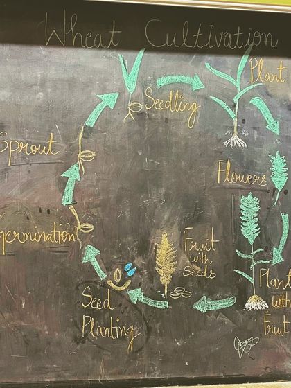 Hands-On Learning & Science Camps photo 18