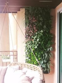 Landscaping and Garden Maintenance