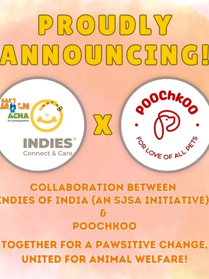 We've teamed up with Sare Jahan Se Acha to expand our rescue efforts in Pune. Our dedicated van service ensures injured community animals get the urgent transport and care they need.