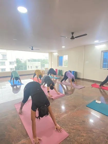 The class moves into Adho Mukha Svanasana (Downward-Facing Dog), one of the most recognized yoga poses. It's a full-body stretch that calms the brain and energizes the body.