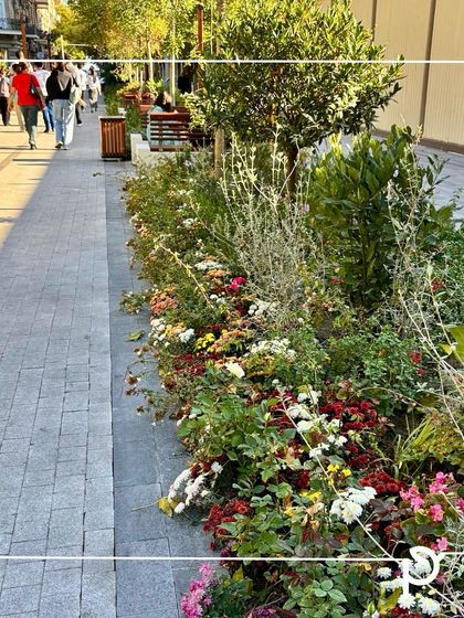 Sprawling Gardens & Farmhouse Landscapes photo 8