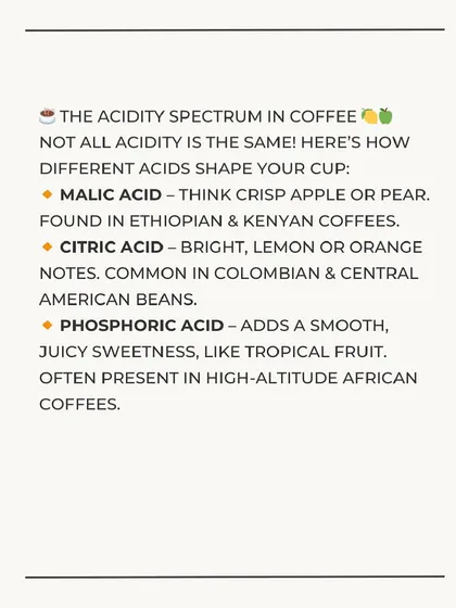 An infographic on the acidity spectrum in coffee, explaining the different tastes of malic, citric, and phosphoric acids.