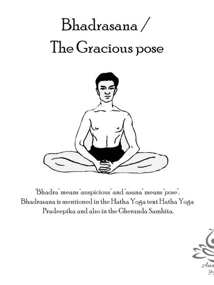 Anagha Yoga - Therapeutic Yoga Yoga Foundations: Asana Library photo 22