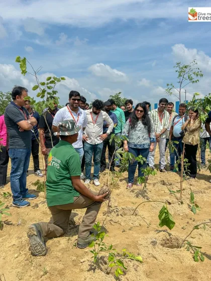 Explaining the basics of planting to a group of corporate volunteers. My role is to be a teacher, sharing the simple wisdom of nature so that every tree planted has the best chance of survival.