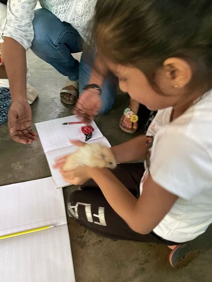 Siksha Montessori - Montessori Elementary School Program (Ages 6+) Exploring Our World: Science & Nature photo 8