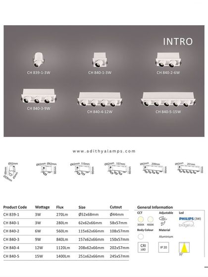 A duplicate of image 57, this is the catalog page for our 'Intro' series, showing the range of multi-light modules.