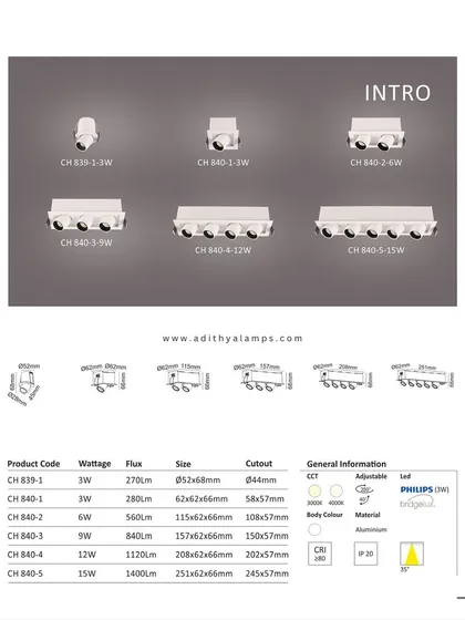 A duplicate of image 57, this is the catalog page for our 'Intro' series, showing the range of multi-light modules.