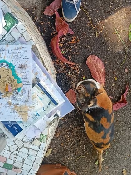 A cute moment during an outdoor drawing session. A friendly cat came to inspect the custom illustration I was working on.