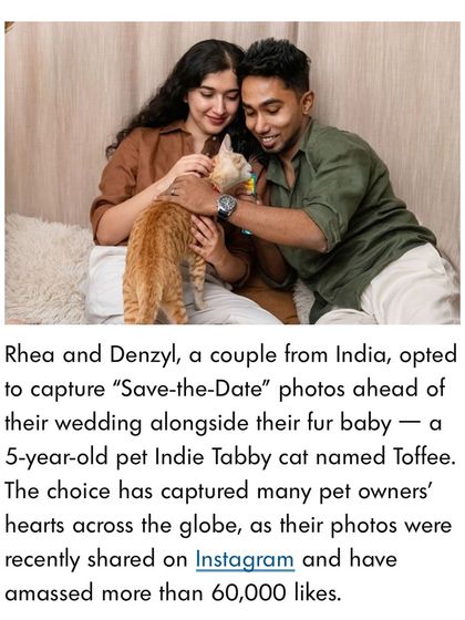 Pawparazzi By Prathima - Pet Milestone Photography Just for Cats photo 5