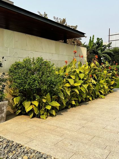 Luxury Villa & Farmhouse Estates photo 26