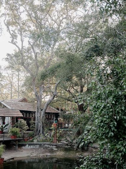A wide shot of the property, showing the relationship between the Kalyani, the trees, and the heritage buildings.