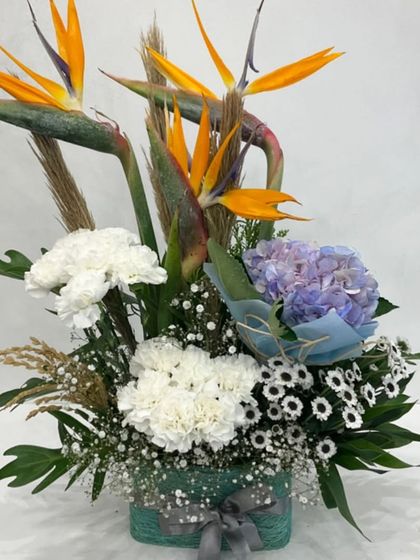 A unique and artistic bouquet for Mother's Day. This arrangement combines exotic Birds of Paradise with soft hydrangeas and carnations for a beautiful contrast of textures and shapes.