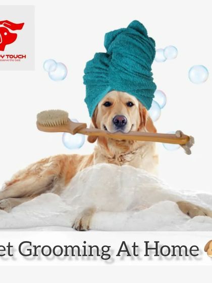 This is the ultimate dream for every pet: a personal spa day at home. I bring this luxury experience right to your doorstep.