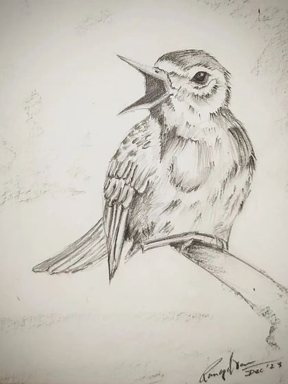 A delicate pencil sketch of a singing bird. The student did a wonderful job on the fine details of the feathers and expression.