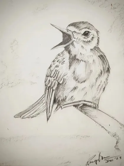 A detailed pencil sketch of a small bird. We work on capturing fine details like feathers and expression, which is a great exercise in observational drawing.
