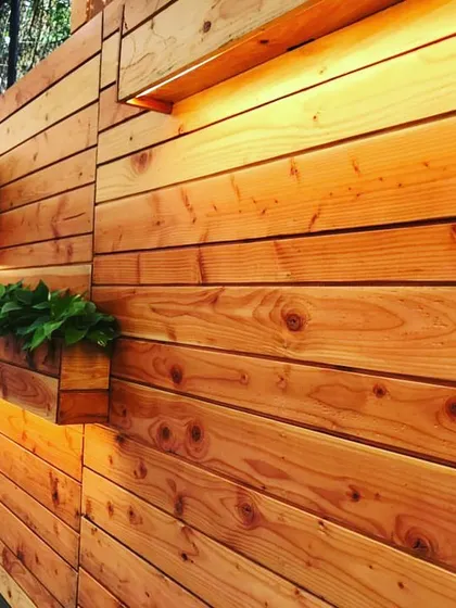 A closer view of the custom wooden planter wall in a Juhu driveway. The warm tones of the pine wood contrast beautifully with the green plants, creating a welcoming and stylish entrance.