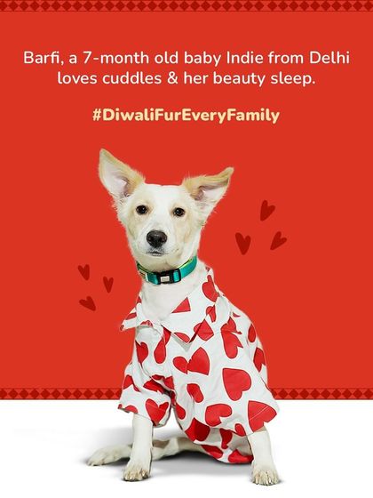 Zigly - Pet Supplies From Our Community: Happy Pets & Parents photo 55