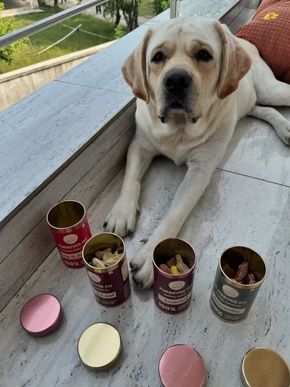 Lolo showing off the actual cookies from his tins. You can see the different shapes and natural colors of the Assorted, Hip & Joints, Immunity, and Skin & Coat treats.