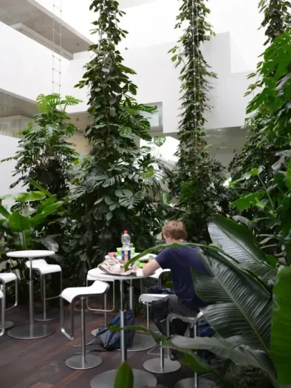 The central atrium of the Virchow 16 building on the Novartis Campus is a social hub immersed in nature. I design these spaces to encourage spontaneous interaction and provide a refreshing counterpoint to the focused work happening in the surrounding labs and offices.