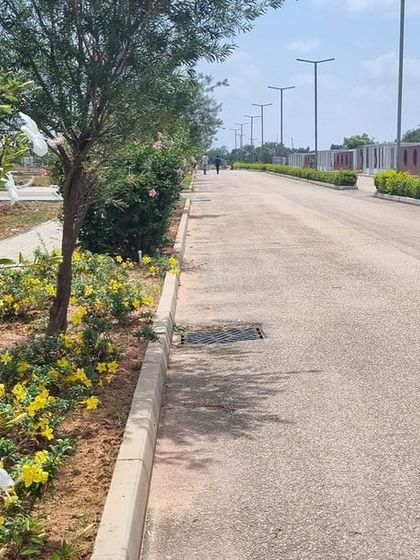 The finished roadside planting at Aamby City, using flowering shrubs to beautify the streetscape.