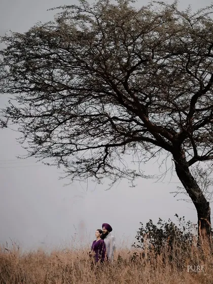 A wide shot showing the couple standing under a large, dramatic tree. This minimalist composition creates a powerful and artistic pre-wedding portrait.