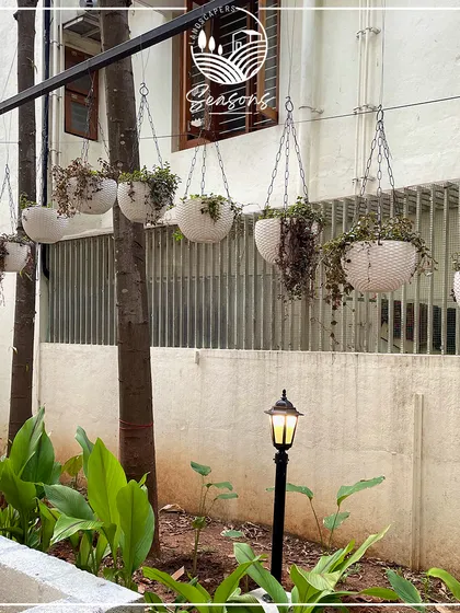 The transformation beginning at Roy's Cafe. Here, we've installed hanging planters and started planting in the ground beds, laying the foundation for a beautiful and enchanting garden space.