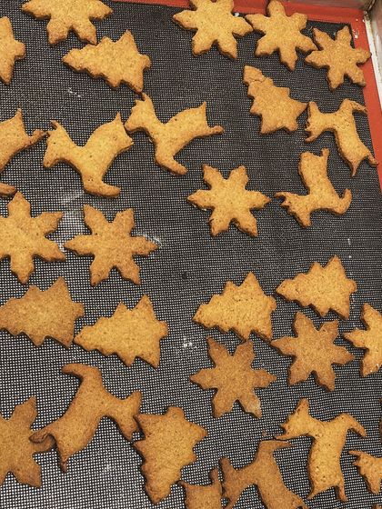 A tray of our gingerbread cookies, fresh from the oven. They are made with wholesome ingredients and shaped like festive trees, stars, and reindeer.