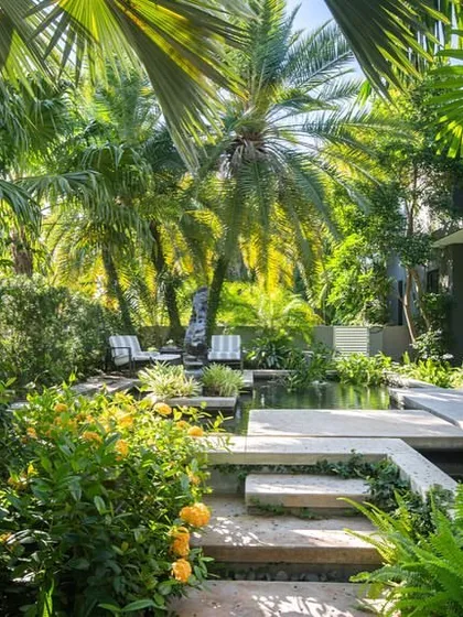 A view through lush foliage towards the main pond and seating area. We design our gardens to have layers, providing filtered views and a sense of being enveloped by nature.