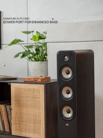 Pro FX - High-Fidelity (Hi-Fi) Audio Systems Product Showcase & Technical Details photo 94