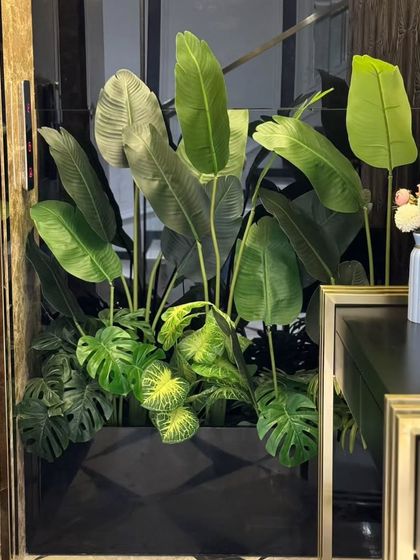 Statement Planters & Green Corners photo 7