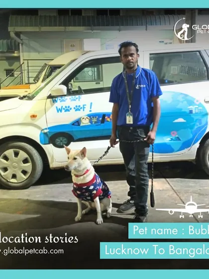 Bubble the dog stands with our handler and our branded pet cab after arriving in Bangalore from Lucknow. Our end-to-end service means we are there from the moment of pickup to the final handover.