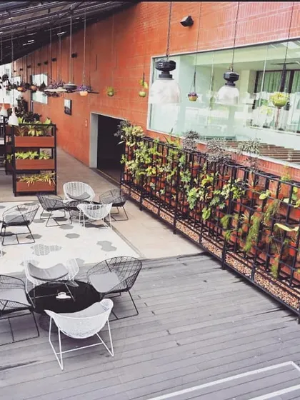We collaborated on the design for Alfresco by Bene at the Sheraton Grand, creating a sophisticated open-air dining experience. This overview shows our plant grids and tiered planters used to define the space and immerse guests in a refreshing, green ambiance.