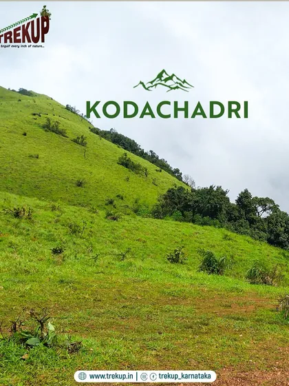 The rolling green hills of Kodachadri. This trek is a mix of dense forests, open grasslands, and the stunning Hidlumane waterfalls, where you can take a refreshing dip.