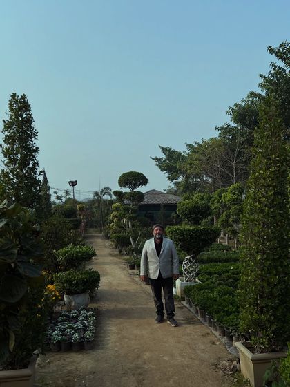 Large Landscaping & Statement Trees (Bade Bagiche aur Farmhouse Ke Liye) photo 28