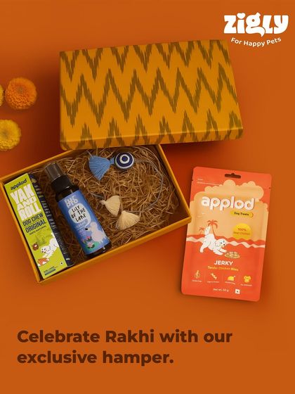 Zigly - Pet Supplies Our Exclusive Products photo 35