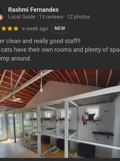 Our cattery is a quiet, dog-free zone with multi-level glass-fronted rooms. This review from a happy cat parent highlights the clean, spacious, and peaceful environment we provide for our feline guests.