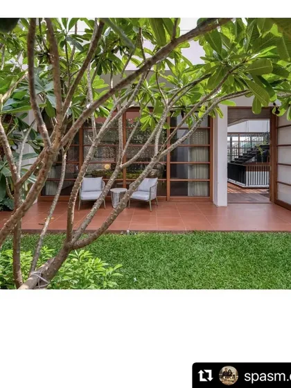 A frangipani tree provides shade and beauty to a small lawn at the Ishtika house. The branches frame the view into the home, demonstrating how we use plants to create layers and depth in a garden.