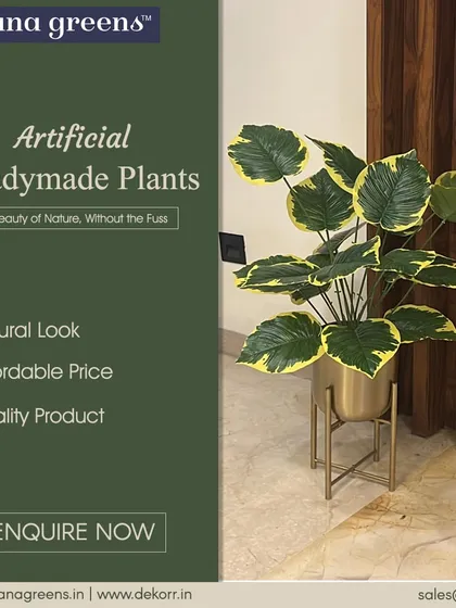 The beauty of nature, without the fuss. This readymade plant with variegated leaves offers a natural look and quality product at an affordable price.