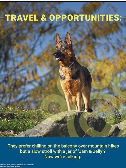 According to their horoscope, they prefer a slow stroll with a jar of our 'Jam & Jelly' over a mountain hike. We can relate.