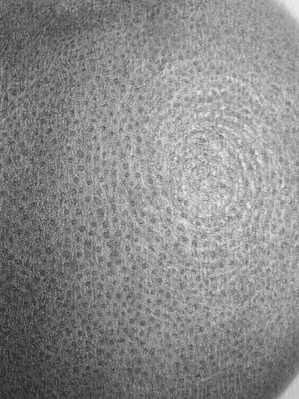 A close-up of the orange study, showing the intricate dot work and tonal variations used to create the realistic skin texture.