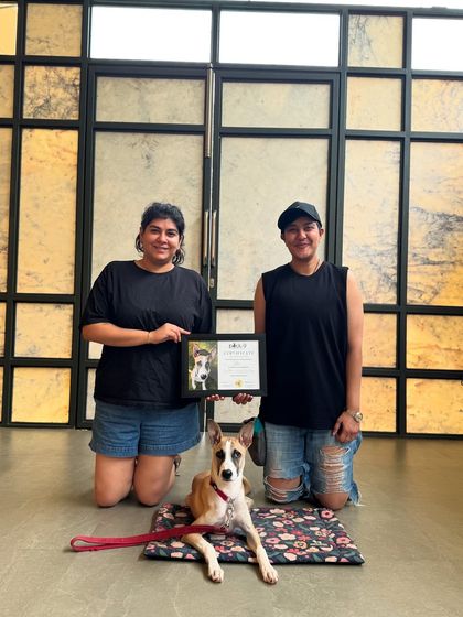 Rocket posing with his certificate and his proud guardians. He's ready for a whole new life with them.