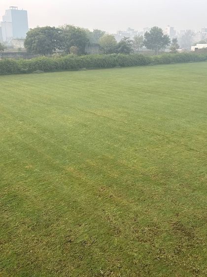 A mowed lawn with stripes, showcasing the professional look you can achieve with my grass. The city skyline is visible in the background.