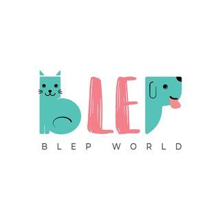 Blep Pet Food