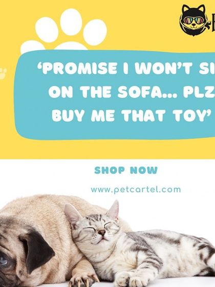 Pet Cartel - Pet Supplies & Food Delivery Current Offers & Deals photo 8