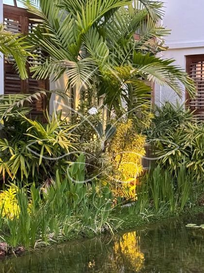 Design Details & Garden Care photo 10