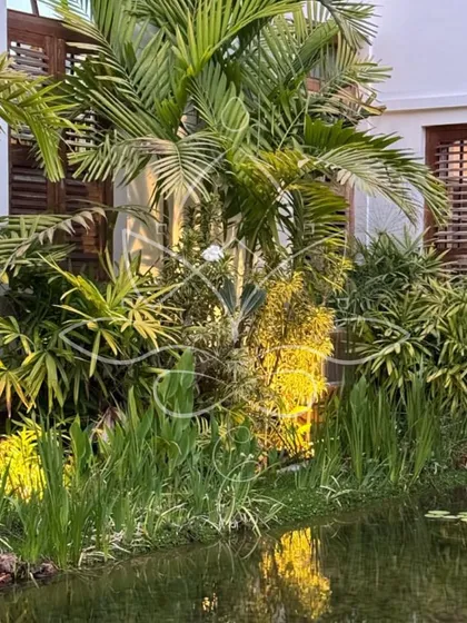 A water garden at sunset, with landscape lighting illuminating the aquatic plants and palm fronds, creating a magical evening atmosphere.