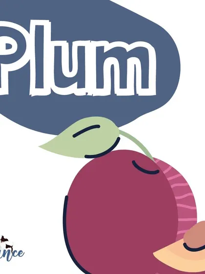 While the flesh of plums is generally safe, the pit is a choking hazard and contains cyanide, which is poisonous. It's best to avoid them.