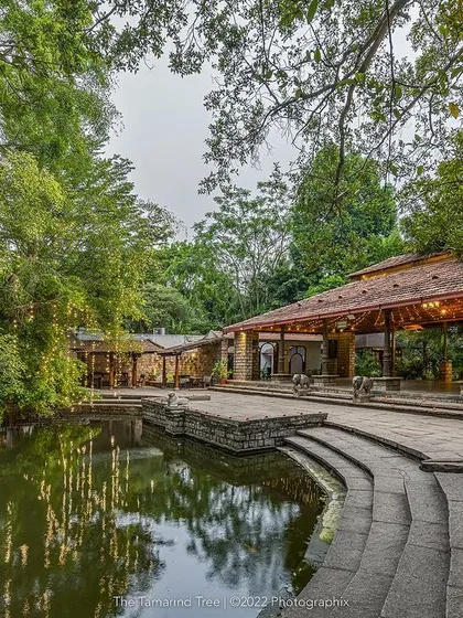 The stone steps of the kalyani lead down to the water's edge, offering a unique setting for ceremonies or a quiet moment of reflection.