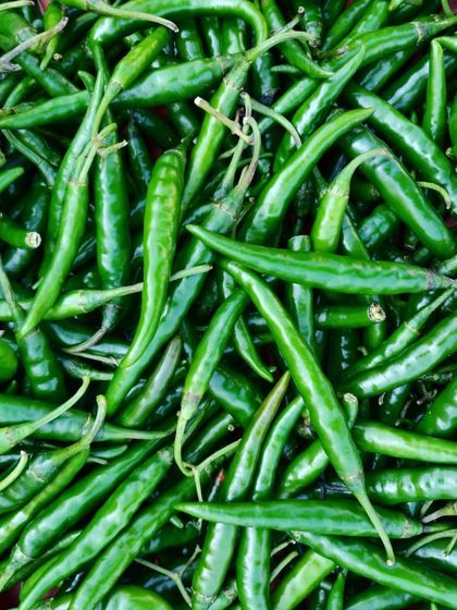 I only use the freshest green chillies for my pickles. You can see the quality in their vibrant colour.