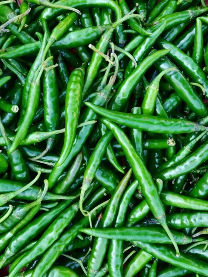 I only use the freshest green chillies for my pickles. You can see the quality in their vibrant colour.